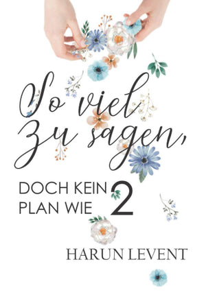 So viel zu sagen, doch kein Plan wie 2 (German Edition),Used
