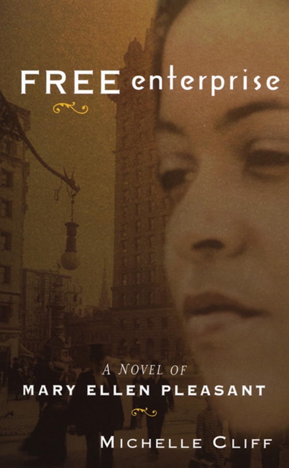 Free Enterprise: A Novel of Mary Ellen Pleasant,Used