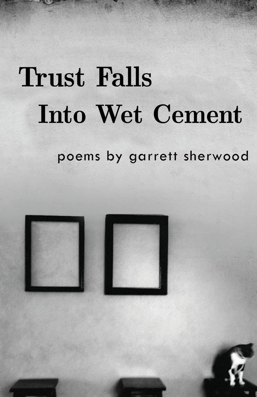Trust Falls Into Wet Cement: Poems By Garrett Sherwood,Used