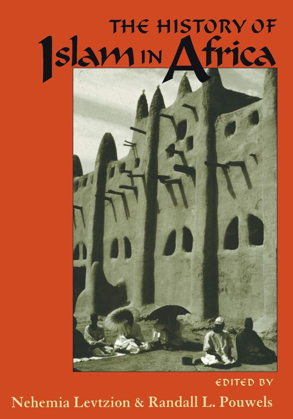 The History Of Islam In Africa,Used