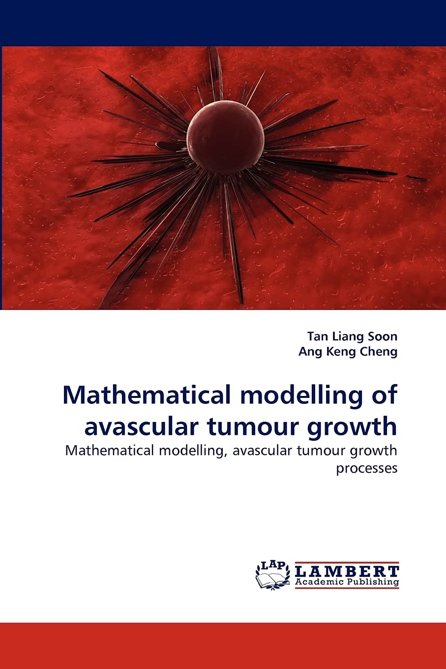 Mathematical modelling of avascular tumour growth: Mathematical modelling, avascular tumour growth processes,Used