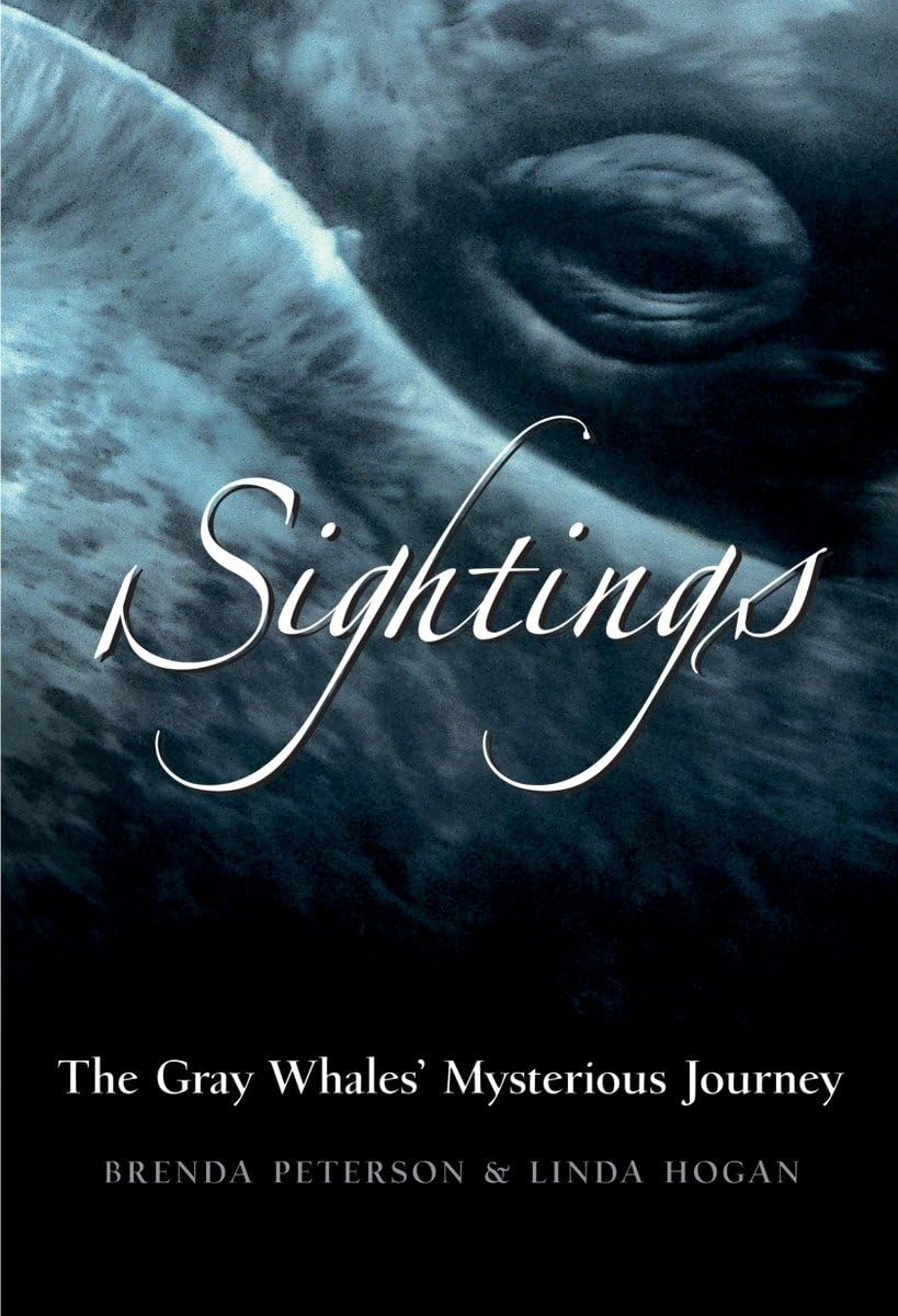 Sightings: The Gray Whales' Mysterious Journey,New