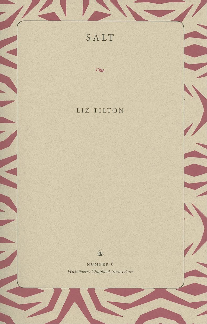 Salt (Wick Chapbook Series 4),Used