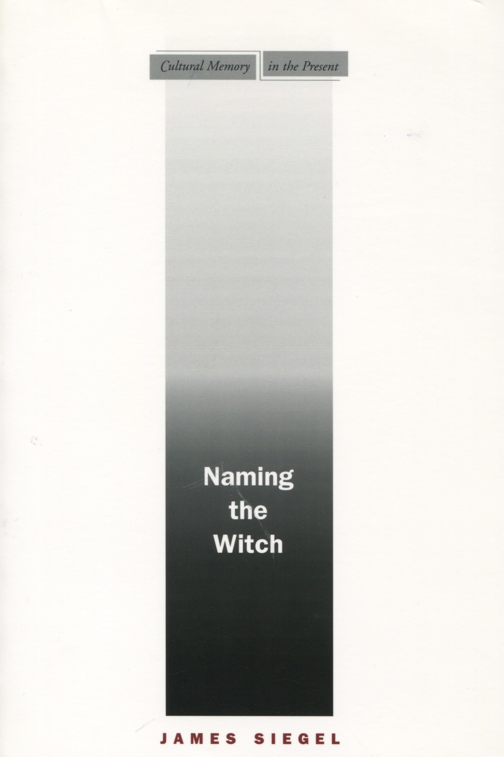 Naming The Witch (Cultural Memory In The Present),New