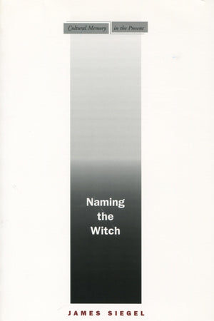Naming The Witch (Cultural Memory In The Present),New