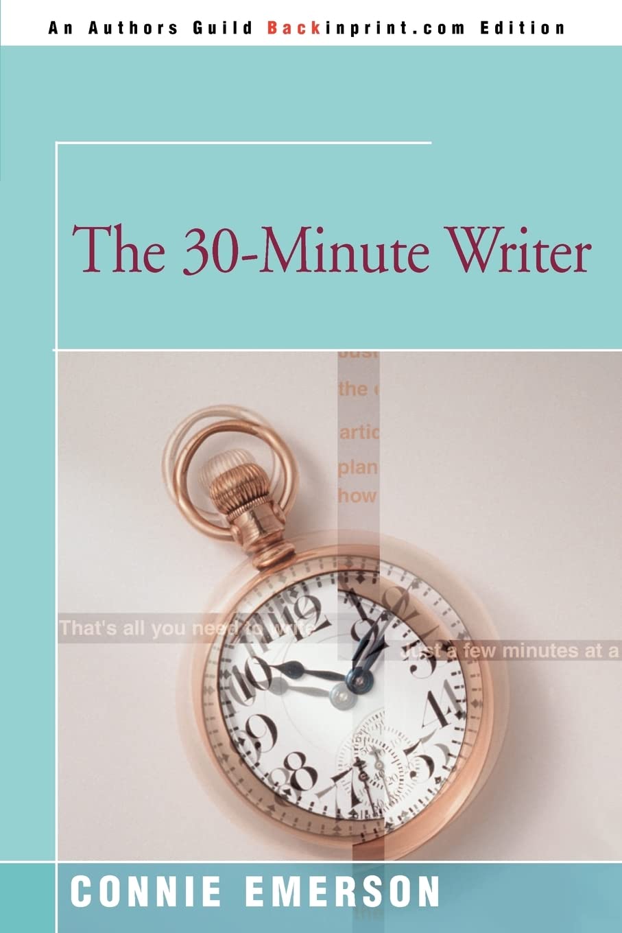 The 30Minute Writer,New