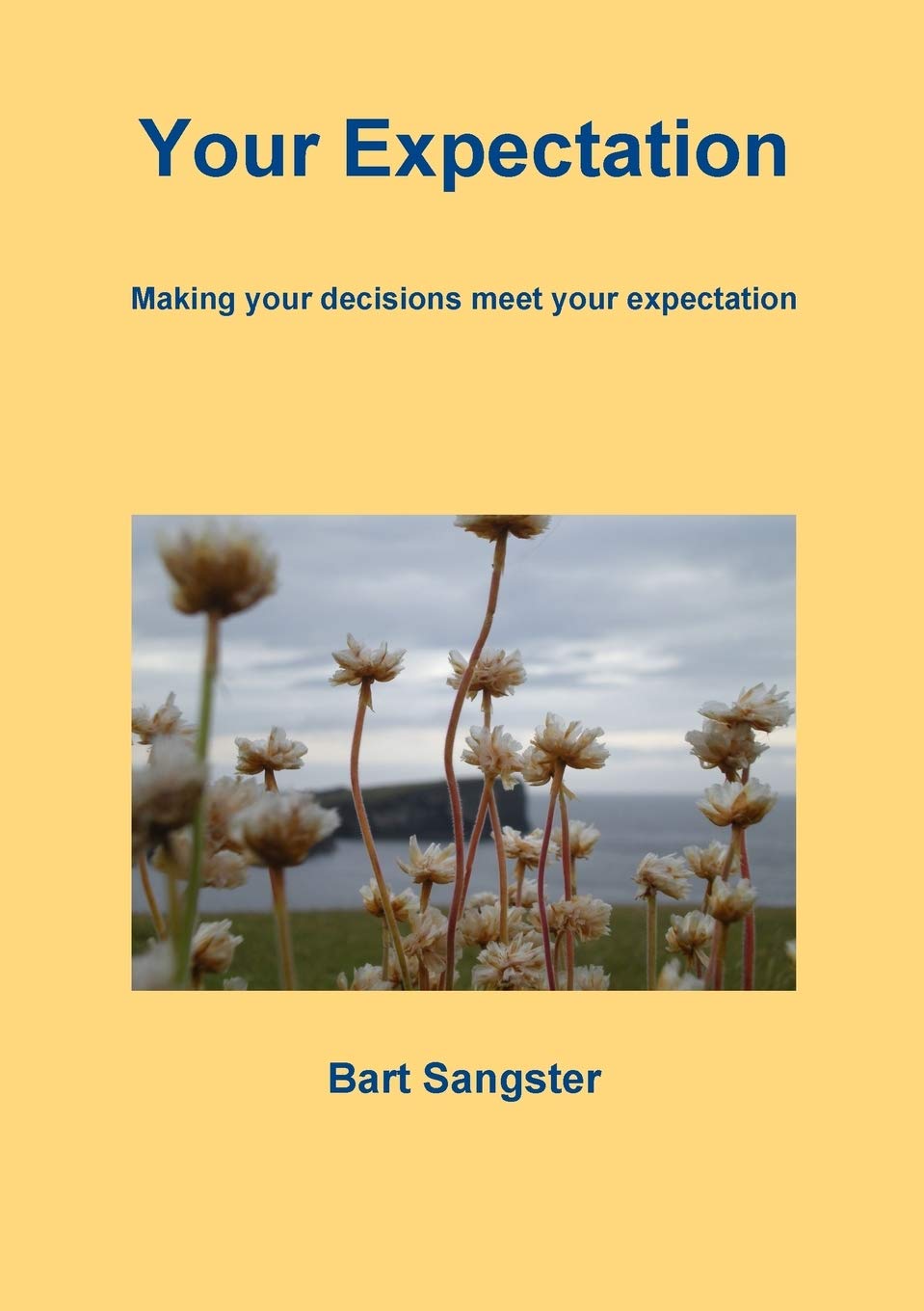 Your Expectation,Used