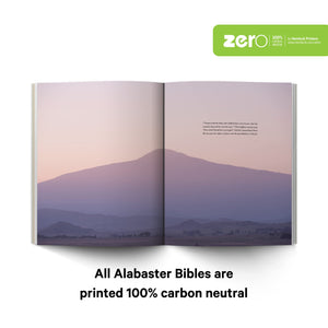 Book of Ruth  Alabaster Bible,New