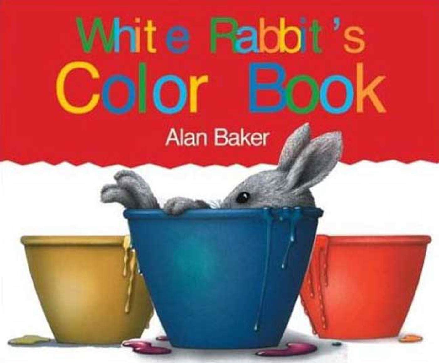 White Rabbit's Colors (Little Rabbit Books),Used