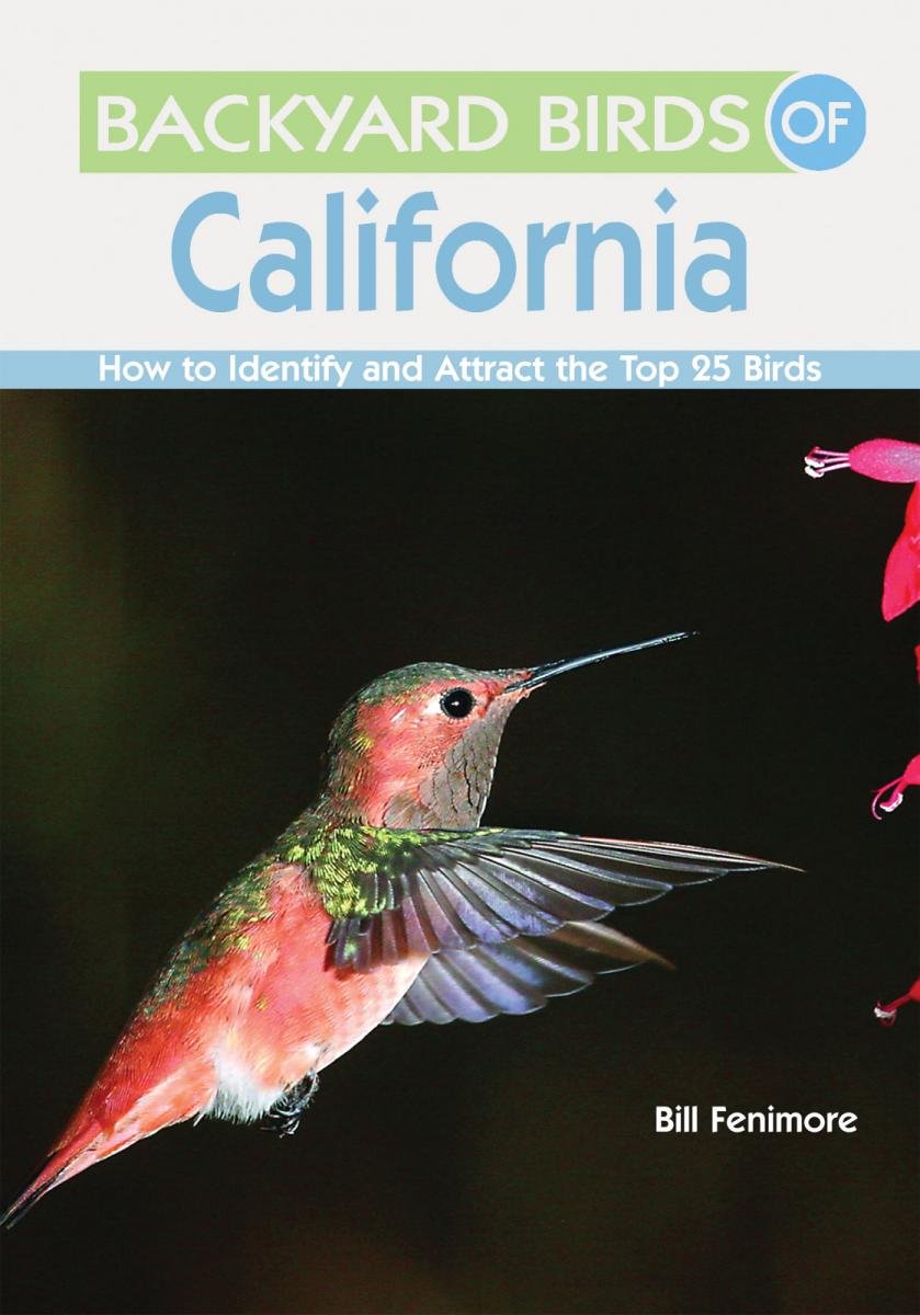Backyard Birds of California: How to Identify and Attract the Top 25 Birds,Used