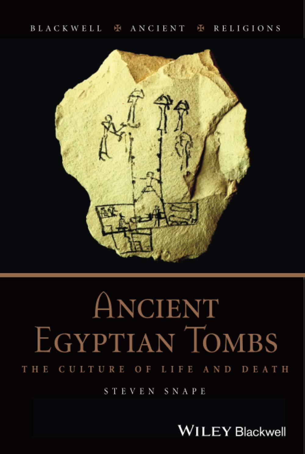 Ancient Egyptian Tombs,Used