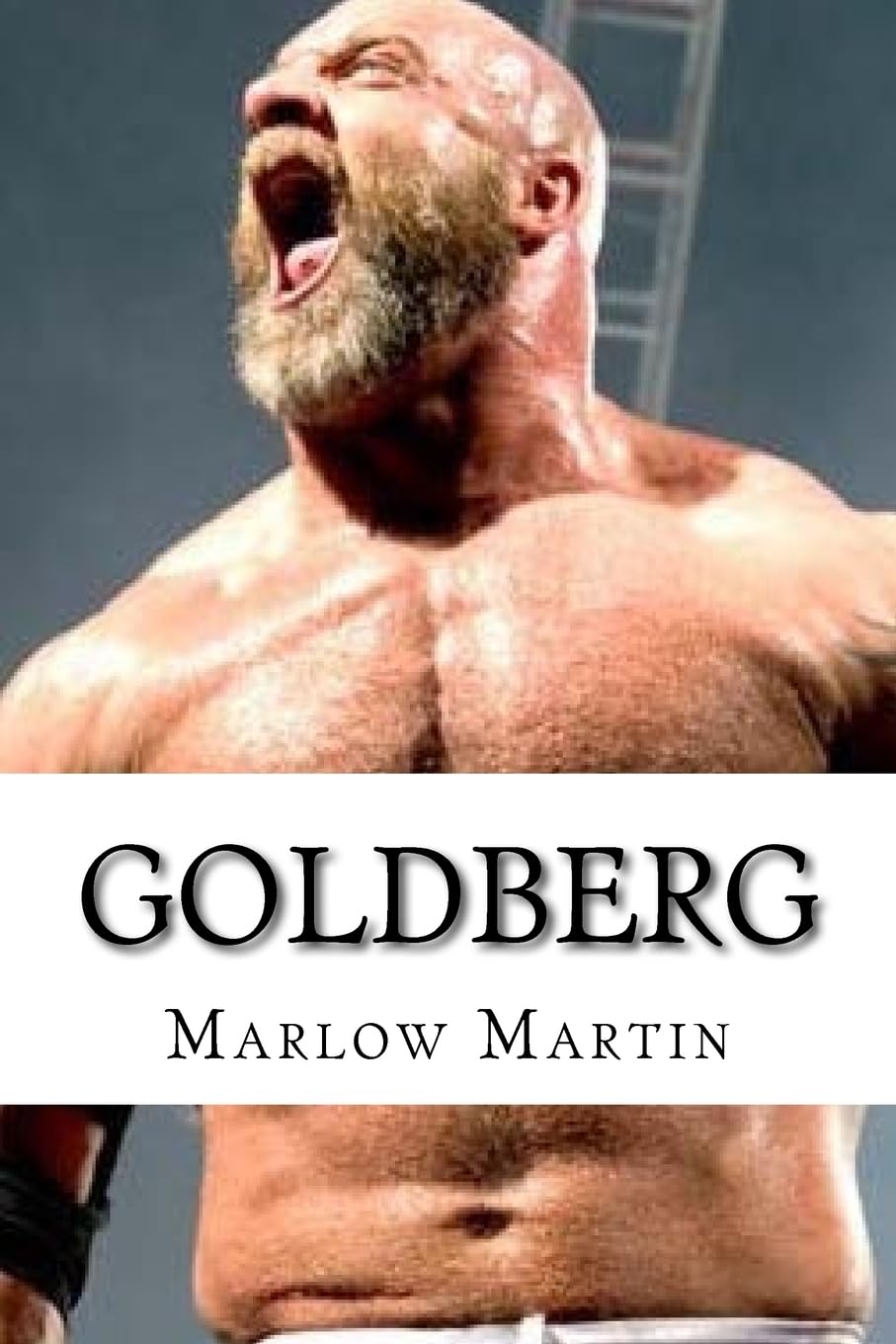 Goldberg: who's Next!,Used