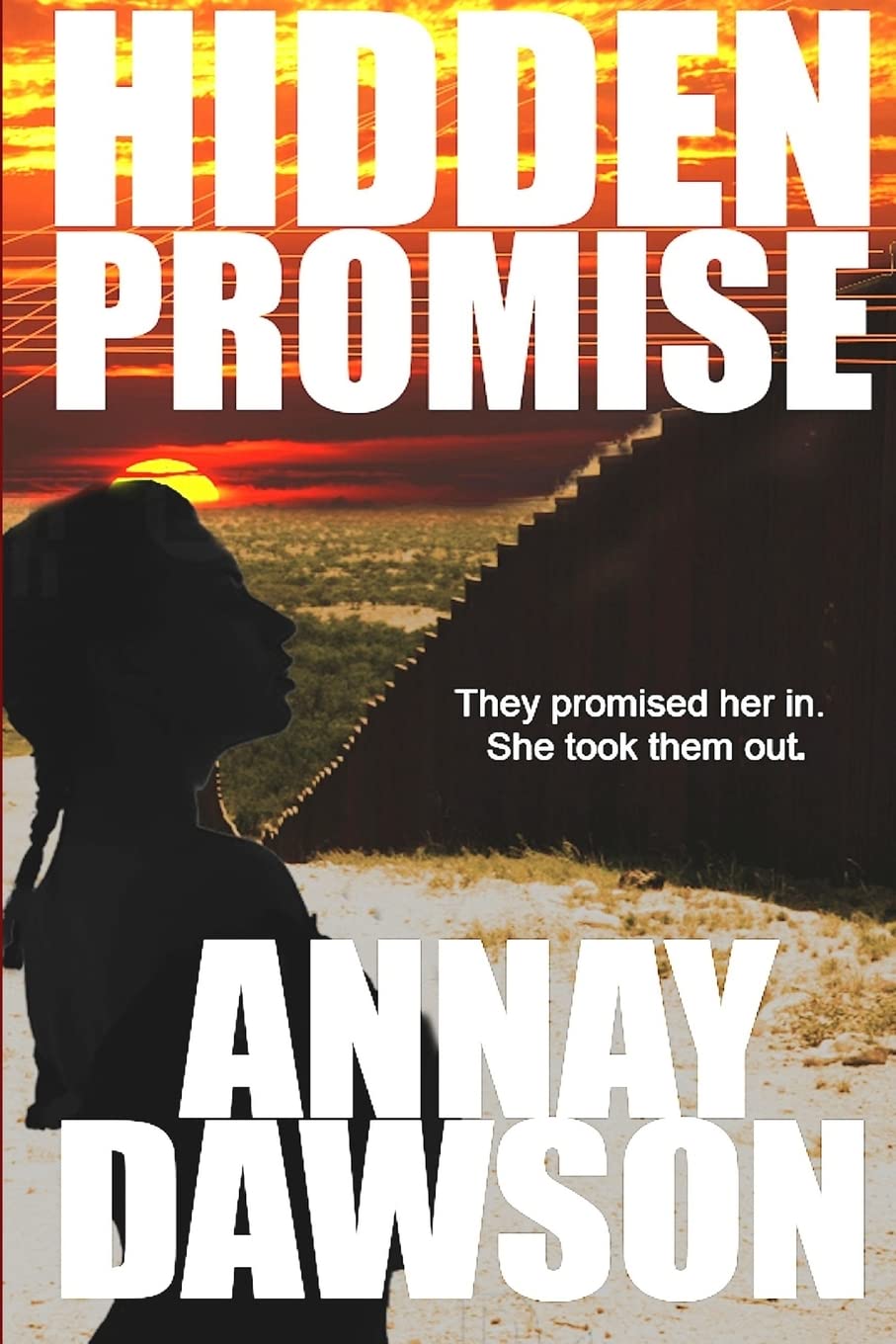 Hidden Promises,Used