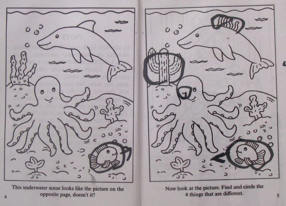 SpottheDifferences Puzzle Fun (Dover Little Activity Books: Puzzles),Used