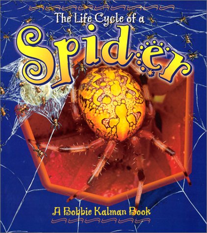 The Life Cycle of a Spider,Used