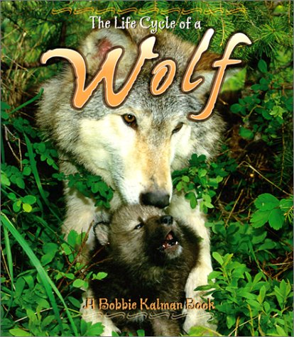 The Life Cycle of a Wolf,Used