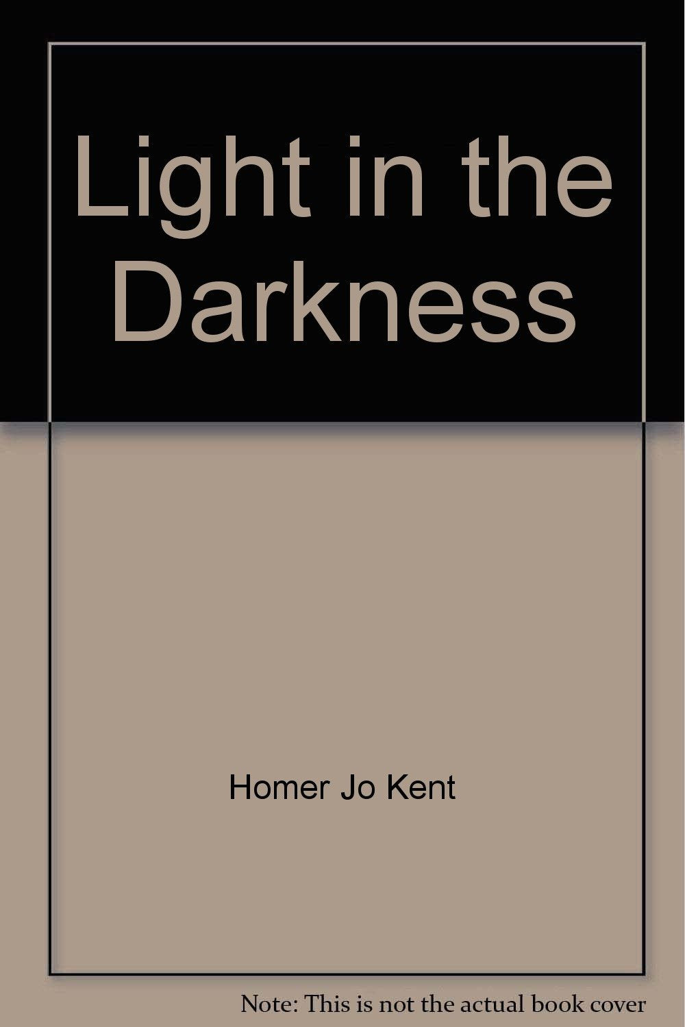 Light in the Darkness: Studies in the Gospel of John (New Testament Studies Series),Used