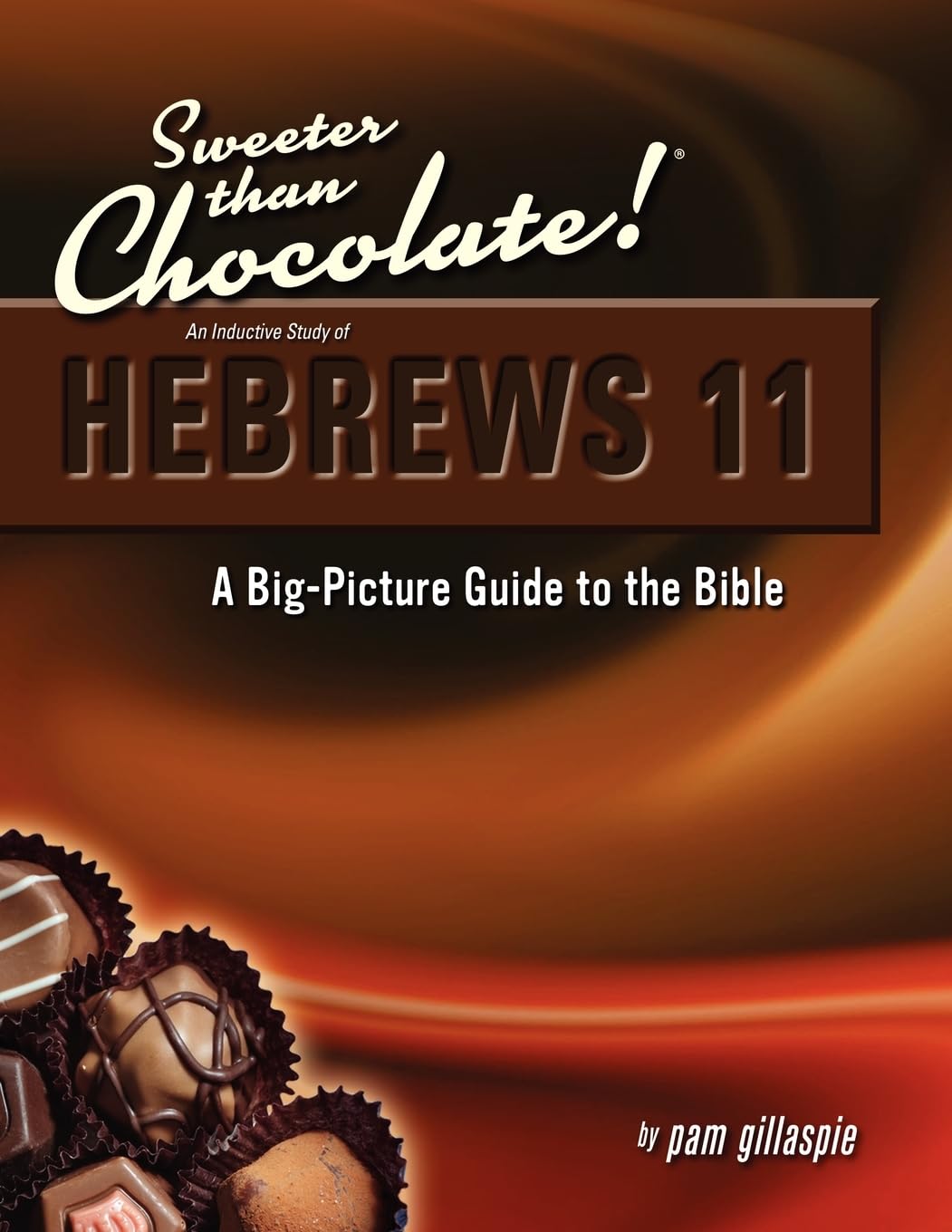 Sweeter Than Chocolate! An Inductive Study of Hebrews 11. A BigPicture Guide to the Bible,Used