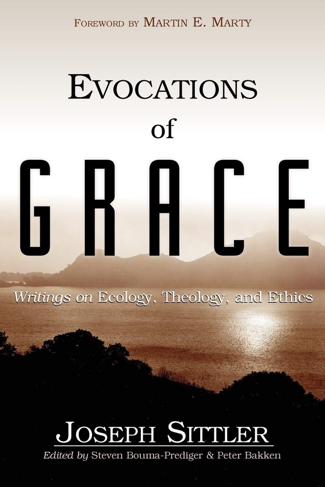 Evocations of Grace: Writings on Ecology, Theology, and Ethics,Used