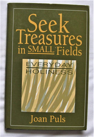 Seek Treasures in Small Fields: Everyday Holiness,Used