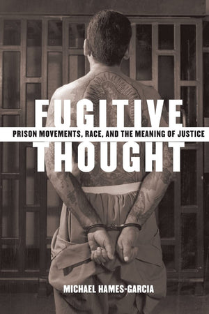 Fugitive Thought: Prison Movements, Race, And The Meaning Of Justice,New