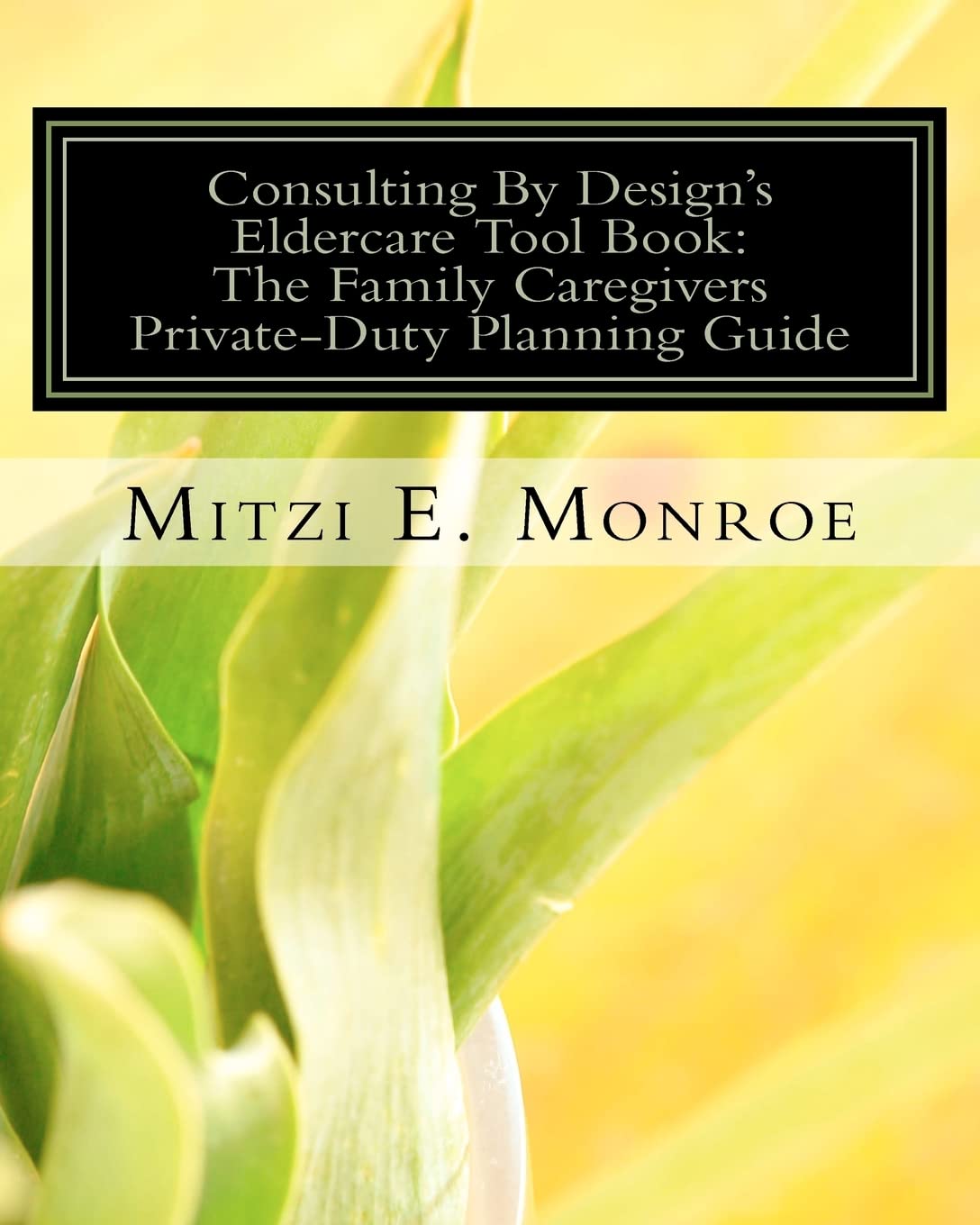 Consulting By Design'S Eldercare Tool Book: The Family Caregivers Privateduty Planning Guide,Used