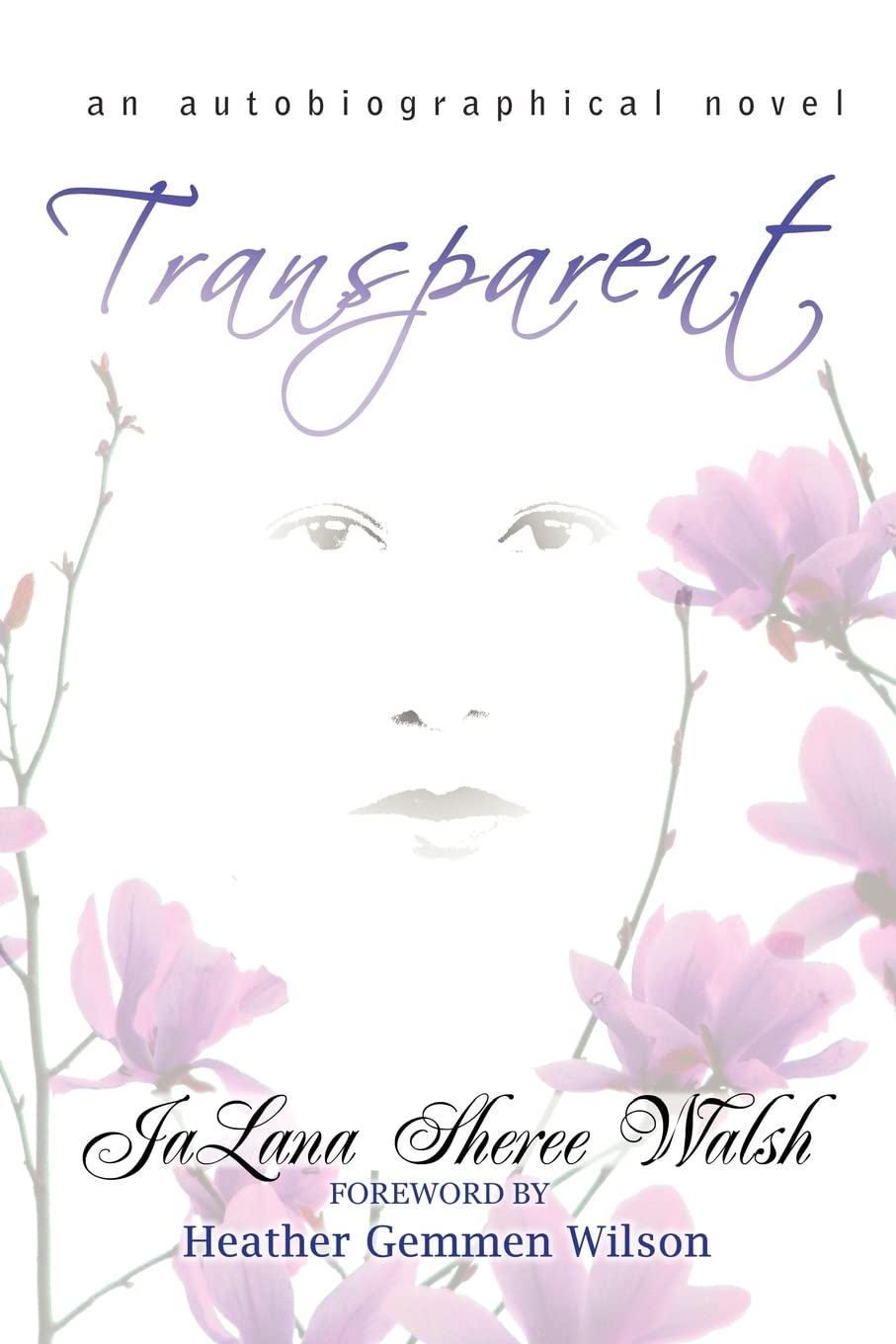 Transparent,Used