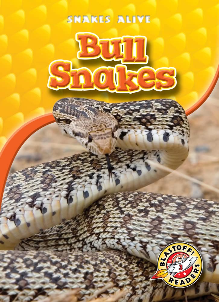 Bull Snakes (Blastoff! Readers: Snakes Alive),Used