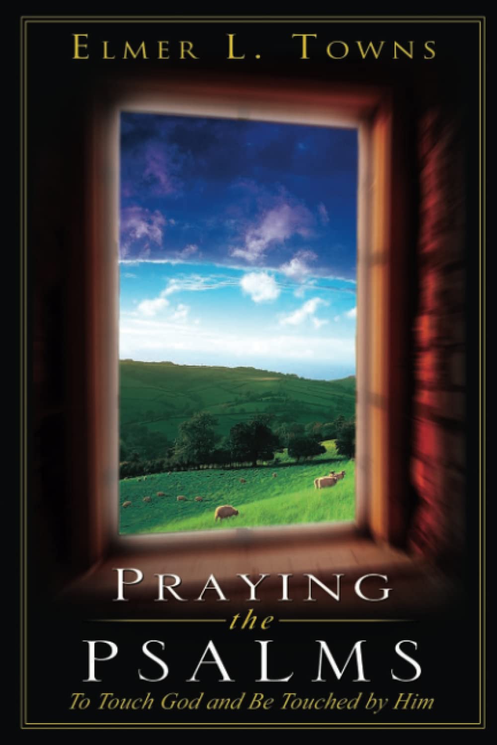 Praying the Psalms: The Touch of God and Be Touched by Him,New