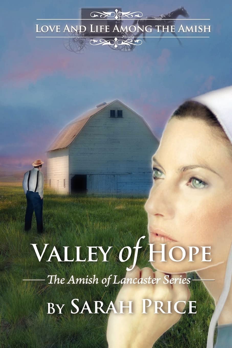 Valley of Hope: The Amish of Lancaster,Used