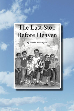 The Last Stop Before Heaven,Used