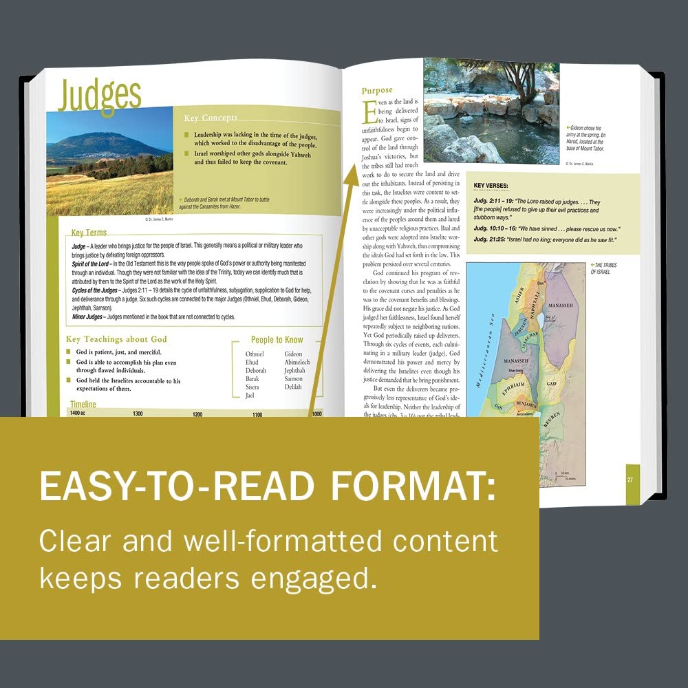 The Essential Bible Companion: Key Insights for Reading God's Word (Essential Bible Companion Series),Used