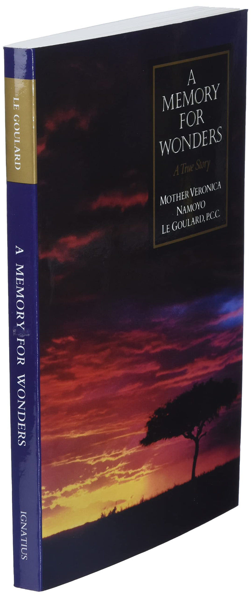 A Memory for Wonders: A True Story,New