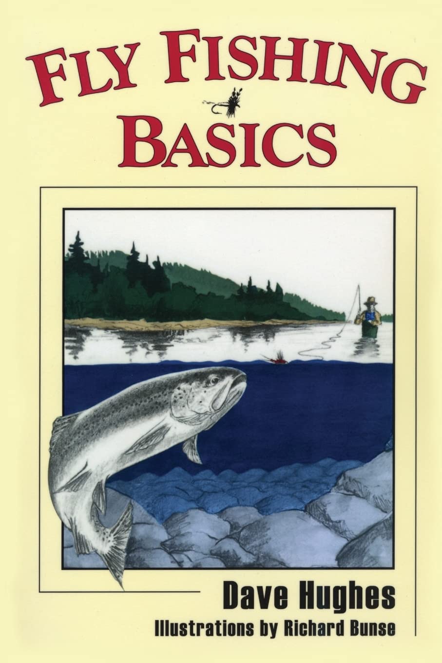 Fly Fishing Basics,Used