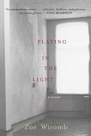 Playing in the Light: A Novel,Used
