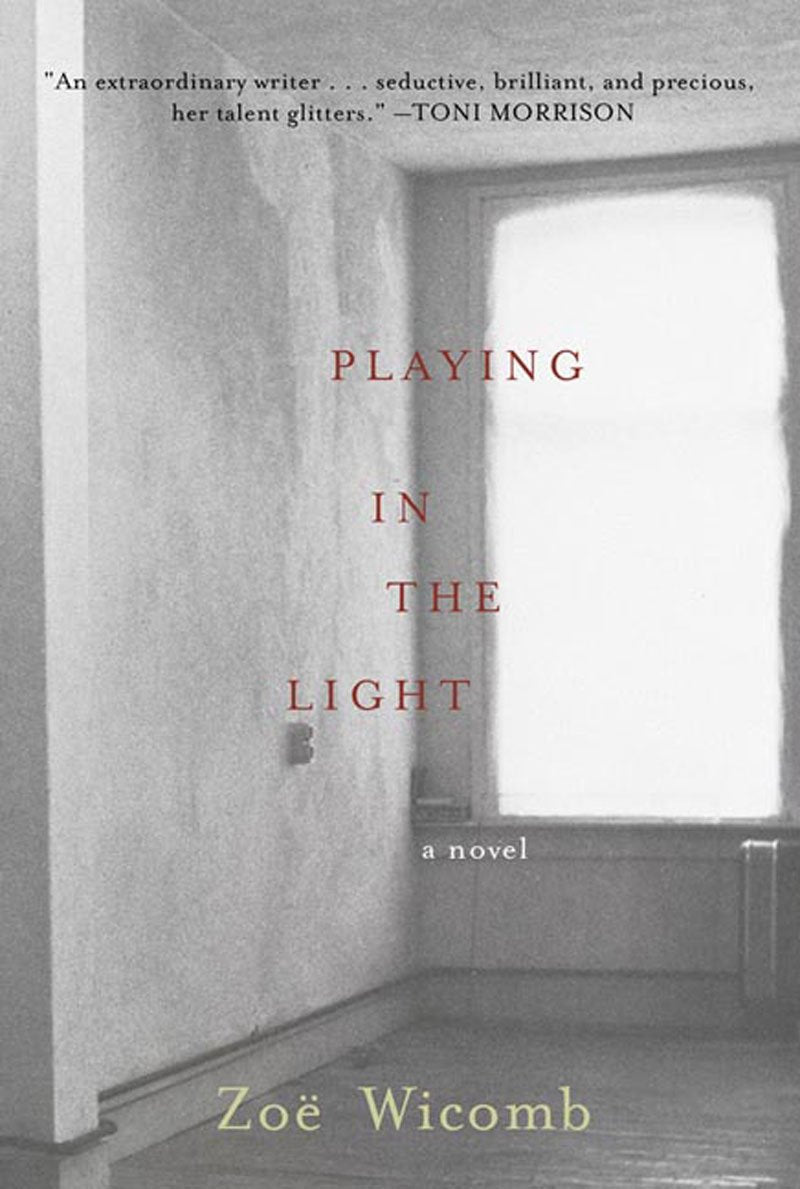 Playing in the Light: A Novel,Used