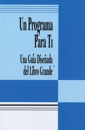 Un Programa Para Ti: Una Guia Disenada del Libro Grande (Spanish Edition),New