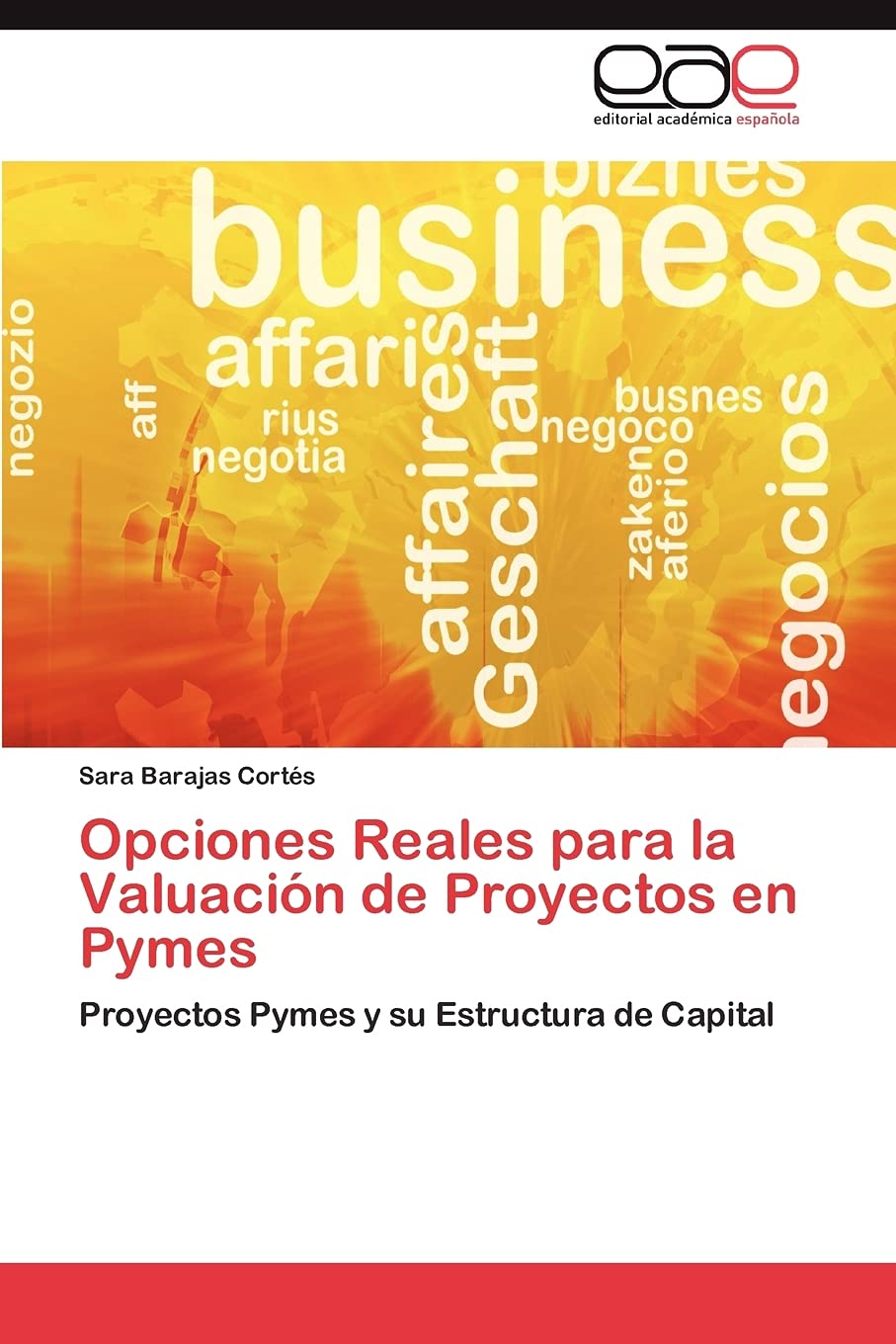 Opciones Reales para la Valuacin de Proyectos en Pymes: Proyectos Pymes y su Estructura de Capital (Spanish Edition),Used