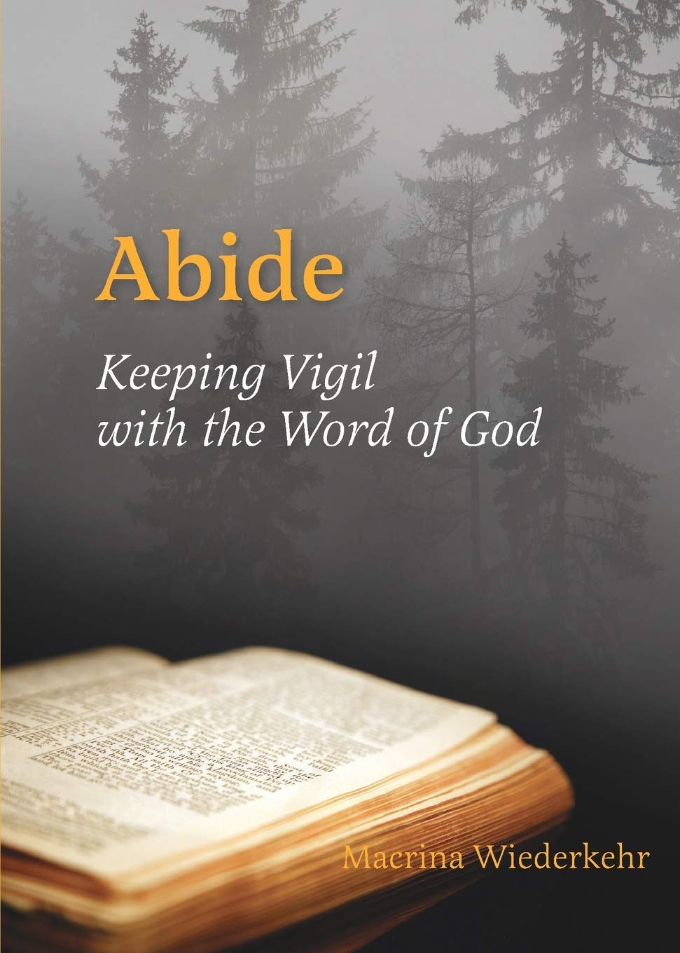 Abide: Keeping Vigil With The Word Of God,Used
