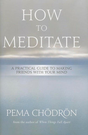 How To Meditate: A Practical Guide To Making Friends With Your Mind