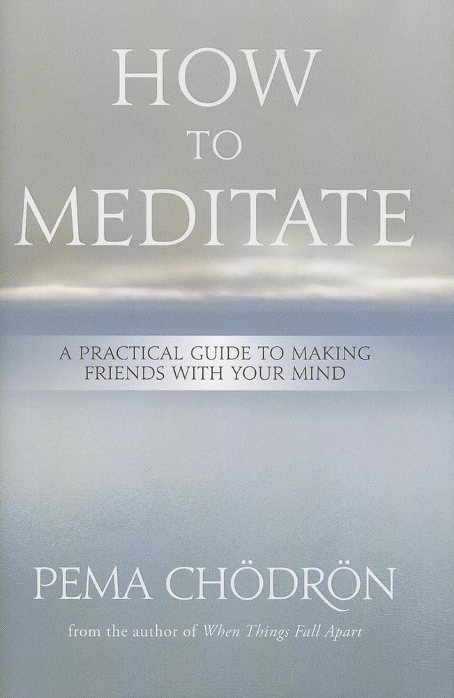 How To Meditate: A Practical Guide To Making Friends With Your Mind