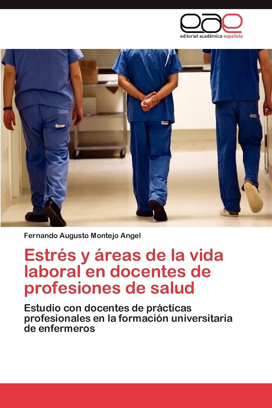 Estrs y reas de la vida laboral en docentes de profesiones de salud: Estudio con docentes de prcticas profesionales en la ,Used