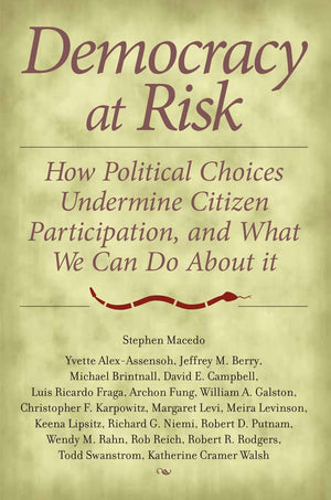 Democracy at Risk: How Political Choices Undermine Citizen Participation, and What We Can Do About It,Used