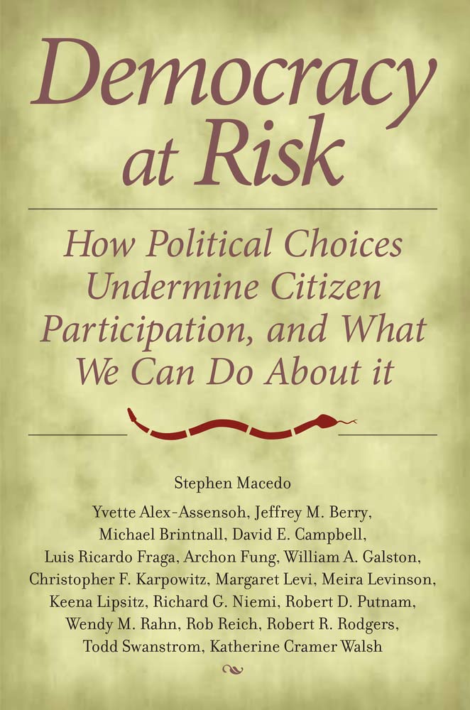Democracy at Risk: How Political Choices Undermine Citizen Participation, and What We Can Do About It,Used