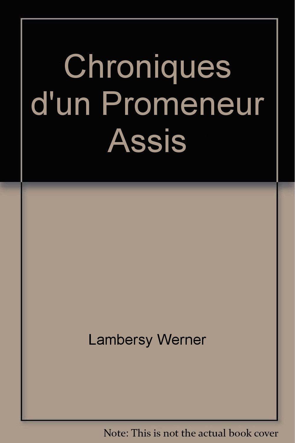 Chroniques d'un promeneur assis,Used