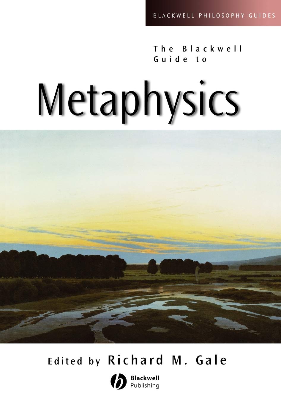 The Blackwell Guide To Metaphysics,New