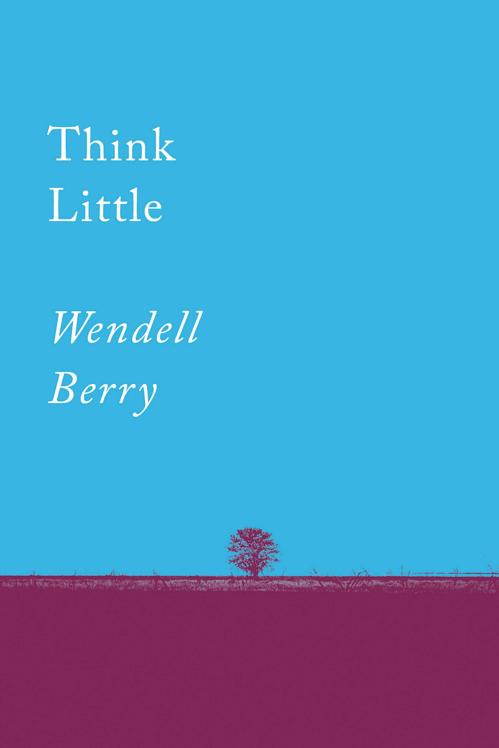 Think Little: Essays,Used