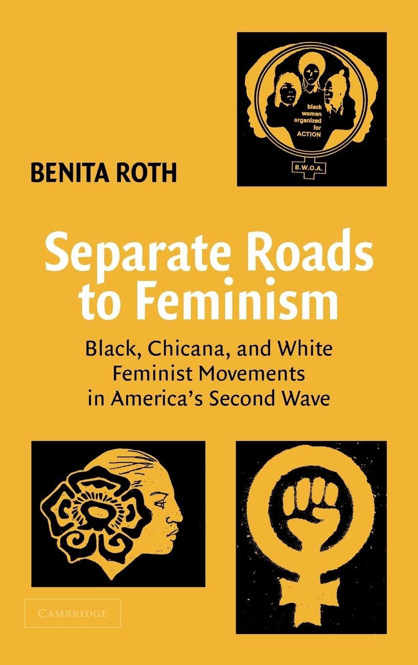Separate Roads to Feminism: Black, Chicana, and White Feminist Movements in America's Second Wave,Used
