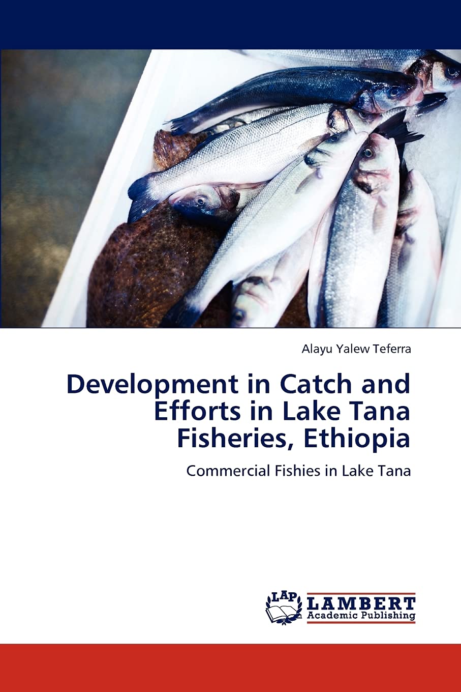 Development in Catch and Efforts in Lake Tana Fisheries, Ethiopia: Commercial Fishies in Lake Tana,Used