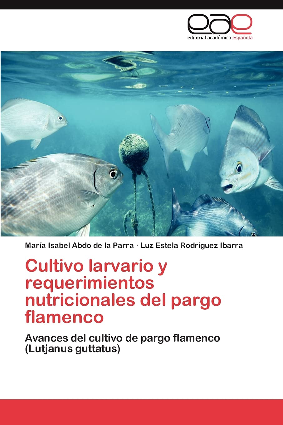 Cultivo larvario y requerimientos nutricionales del pargo flamenco: Avances del cultivo de pargo flamenco (Lutjanus guttatus) (S,Used